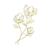 フルールシェリーのサロンロゴのお花