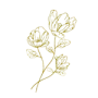 フルールシェリーのサロンロゴのお花